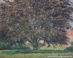 Jever, Stadt, Schlosspark, Friedrich-August-Buche, 1930-40er, 41x32,5 cm, Öl auf Holz, Besitz Schlossmuseum Jever (WV-Nr. 1219)