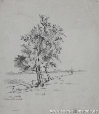 Jever, Umland, Moorwarfen, 1930-50er, 18x20 cm, Bleistiftzeichnung, Nachlass Arthur Eden (WV-Nr. 244)