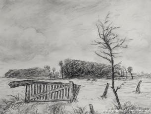 Moorsum, Rollboom, 1960er, 28x21 cm, Kohlezeichnung, Privatbesitz (WV-Nr. 1138)
