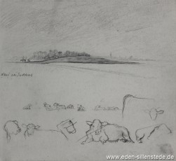 Skizze, Sudderns, Warf, 1920-30er, 23x21 cm, Bleistiftzeichnung, Nachlass Arthur Eden (WV-Nr. 305)