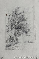 Unbekannter Ort, Birken im Wind, 1920er, 10x15 cm, Bleistiftzeichnung, Nachlass Arthur Eden (WV-Nr. 1300)