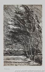 Unbekannter Ort, Landschaft mit Birken, 1920er, 9x14 cm, Radierung, Privatbesitz (WV-Nr. 485)