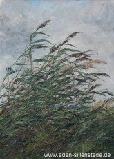 Unbekannter Ort, Reiht im Wind, 1962, 58,5x80,4 cm, Öl auf Leinwand, Privatbesitz (WV-Nr. 1163)