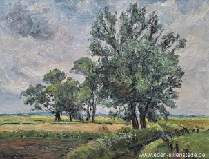 Unbekannter Ort, Bäume auf einem Feld, 1950er, 76,5x58,2 cm, Öl auf Leinwand, Privatbesitz (WV-Nr. 1629)