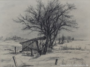 Unbekannter Ort, Heck in der Marsch, 38x29 cm, Kohle auf Papier, Privatbesitz (WV-Nr. 1634)