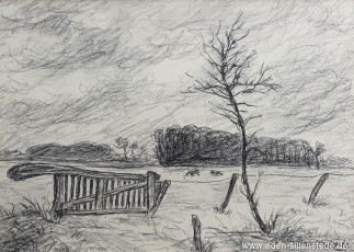 Moorsum, Rollboom, 1960er, 27x19,5 cm, Kohlezeichnung, Privatbesitz (WV-Nr. 1715)