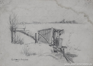 Benlefstede, Rollboom, 1925, 22x16 cm, Bleistiftzeichnung, Nachlass Arthur Eden (WV-Nr. 237)