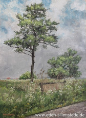 Hooksiel, Umland, Blick auf Pakens, 1960er, 54,5x74 cm, Öl auf Leinwand, Privatbesitz (WV- Nr. 493)