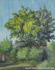 Jever, Stadt, Blumenkohl, 1950er, 40,5x50 cm, Öl auf Leinwand, Nachlass Arthur Eden (WV-Nr. 78)