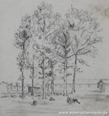 Lager, Bäume im Lager, 1945, 11x10 cm, Bleistift auf Papier, Nachlass Arthur Eden (WV-Nr. 406)