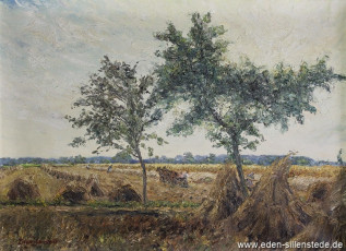 Moorhausen, Kornfelder, um 1959, 82x60 cm, Öl auf Leinwand, Privatbesitz (WV-Nr. 510)