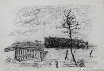 Moorsum, Rollboom, 1930-40er, 32,5x22 cm, Kohlezeichnung, Nachlass Arthur Eden (WV-Nr. 170)