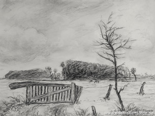 Moorsum, Rollboom, 1960er, 28x21 cm, Kohlezeichnung, Privatbesitz (WV-Nr. 1138)