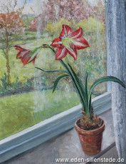 Sillenstede, Blick aus dem Atelierfenster mit Amaryllis, 1965, 51x65 cm, Öl auf Leinwand, Nachlass Arthur Eden (WV-Nr. 73)