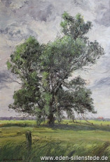 Sillenstede, Umland, Blick auf Sillenstede, 1960er, 48x70,5 cm, Öl auf Leinwand, Privatbesitz (WV-Nr. 23)