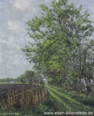 Sillenstede, Umland, Feldweg nach Gummelstede, 1960-70er, 54,5x66,5 cm, Öl auf Leinwand, Privatbesitz (WV-Nr. 721)