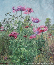 Sillenstede, Verwilderter Staudenmohn, 1962, 60,5x71 cm, Öl auf Leinwand, Nachlass Arthur Eden (WV-Nr. 80)