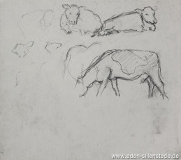 Skizze, Kühe, 1920-50er, 28x22 cm, Bleistiftzeichnung, Nachlass Arthur Eden (WV-Nr. 317)