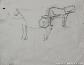 Skizze, Pferde, 1920-50er, 23x12 cm, Bleistiftzeichnung, Nachlass Arthur Eden (WV-Nr. 325)