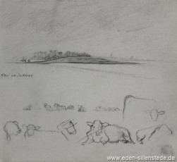 Skizze, Sudderns, Warf, 1920-30er, 23x21 cm, Bleistiftzeichnung, Nachlass Arthur Eden (WV-Nr. 305)