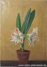 Stilleben, Amaryllis, 1930er, 43x60 cm, Öl auf Leinwand, Privatbesitz (WV-Nr. 682)