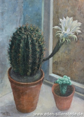 Stilleben, Blühender Kaktus, 1920-30er, 34x47,5 cm, Schlossmuseum Jever (WV-Nr. 76)