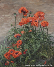 Stilleben, Mohnblumen, 1960er, 62x77 cm, Öl auf Leinwand, Privatbesitz (WV-Nr. 9)