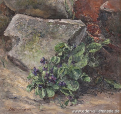 Stillleben, Alpenveilchen, um 1970, 30x28,5 cm, Öl auf Leinwand, Privatbesitz (WV-Nr. 1198)