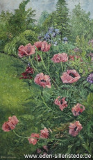 Stillleben, Klatschmohn, 1960er, 53x89 cm, Öl auf Leinwand, Privatbesitz (WV-Nr. 863)