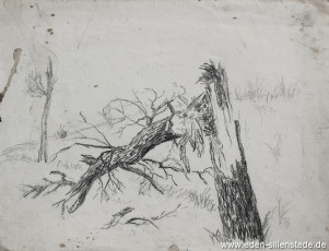 Unbekannter Ort, Abgeknickter Baum, 1940-50er, 29x22 cm, Kohlezeichnung, Nachlass Arthur Eden (WV-Nr. 289)