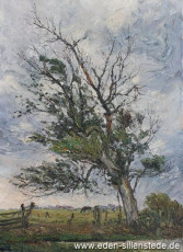 Unbekannter Ort, Alter Baum am Straßenrand, 1960er, 54x74 cm, Öl auf Leinwand, Privatbesitz (WV-Nr. 1498)