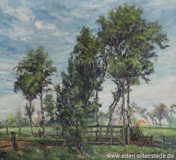 Unbekannter Ort, Birken am Feld, um 1960, 68,3x63 cm, Öl auf Leinwand, Privatbesitz (WV-Nr. 658)