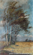 Unbekannter Ort, Birken am Feld, 1920-30er, 36,5x59 cm, Öl auf Leinwand, Privatbesitz (WV-Nr. 1188)