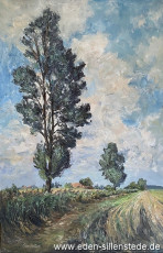 Unbekannter Ort, Feldweg im Sommer, um 1960, 49x74 cm, Öl auf Leinwand, Privatbesitz (WV-Nr. 1359)