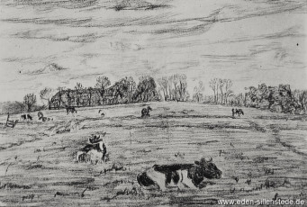 Unbekannter Ort, Hof auf einer Warf mit Kuhweide, 1917, Kohlezeichnung, Verschollen (WV-Nr. 1428)