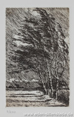 Unbekannter Ort, Landschaft mit Birken, 1920er, 9x14 cm, Radierung, Privatbesitz (WV- Nr. 485)