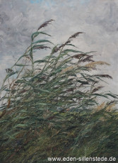 Unbekannter Ort, Reiht im Wind, 1962, 58,5x80,4 cm, Öl auf Leinwand, Privatbesitz (WV-Nr. 1163)