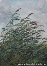 Unbekannter Ort, Reiht im Wind, 1962, 58,5x80,4 cm, Öl auf Leinwand, Privatbesitz (WV-Nr. 1163)