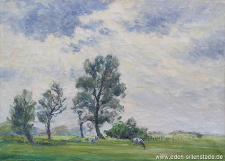 Unbekannter Ort, Weide mit Kuh im Sommer, um 1955, 70x50 cm, Öl auf Leinwand, Privatbesitz (WV-Nr. 1244)