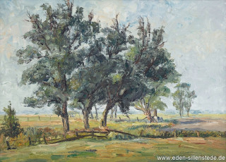 Unbekannter Ort, Bäume auf einem Feld, 1950er, 85x65 cm, Öl auf Leinwand, Privatbesitz (WV-Nr. 1528)