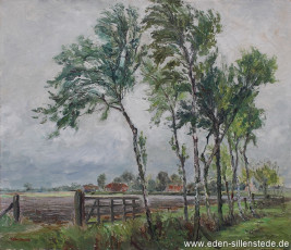 Unbekannter Ort, Birken am Feld, 1950er, 70x60 cm, Öl auf Leinwand, Privatbesitz (WV-Nr. 1585)