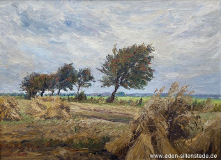 Unbekannter Ort, Getreidehocken, um 1960, 80x58,5 cm, Öl auf Leinwand, Privatbesitz (WV-Nr. 1654)