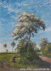 Unbekannter Ort, Weg am Acker, um 1960, 48,5x66,5 cm, Öl auf Leinwand, Privatbesitz (WV-Nr. 1655)