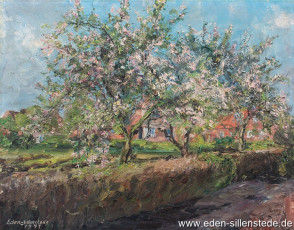 Sillenstede, Blühende Bäume, um 1970, 64,3x50,3 cm, Öl auf Leinwand, Privatbesitz (WV-Nr. 1668)