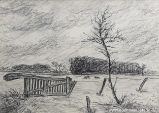 Moorsum, Rollboom, 1960er, 27x19,5 cm, Kohlezeichnung, Privatbesitz (WV-Nr. 1715)
