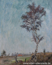 Unbekannter Ort, Birke auf dem Feld, 1950er, 53x65 cm, Öl auf Leinwand, Privatbesitz (WV-Nr. 1748)